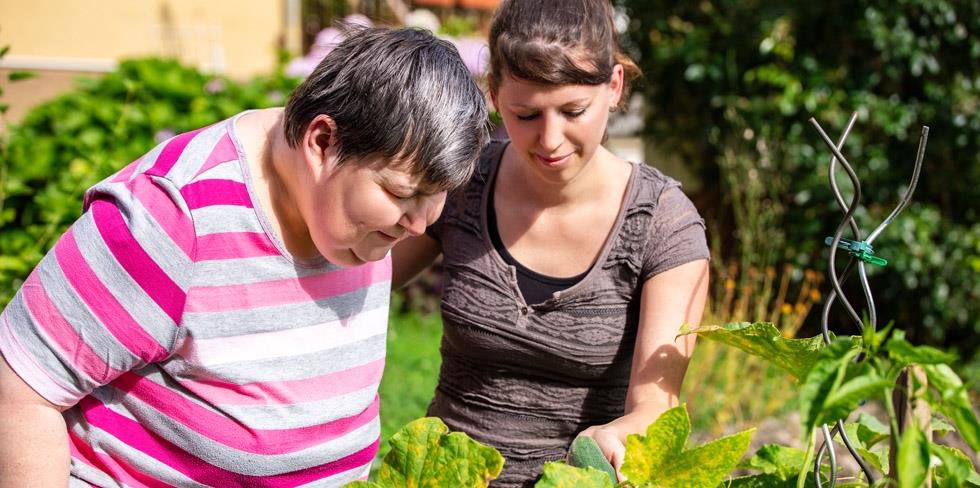 carer with a mentally handicapped and disabled woman looking at cucumbers