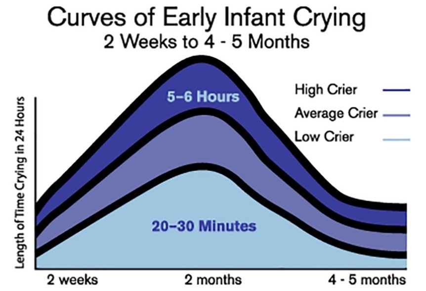 Curves of infant crying chart 2 weeks to 4-5 months