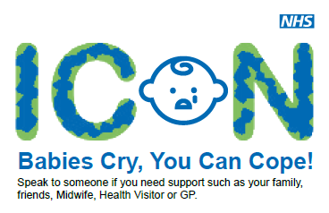 ICON Logo